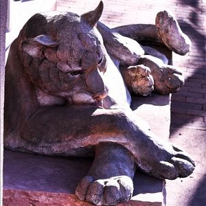 Meet your Posher, David